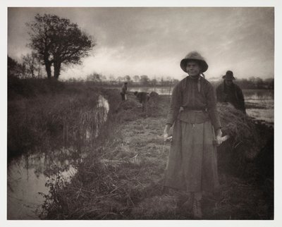 耕作，收割 "沼泽干草"（transport du foin des marais）。 作者 理查德（后）爸爸