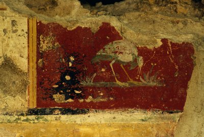 鸟，壁画碎片，Salus Augusta Temple-Cryptoporticus，古罗马城市Urbs Salvia，Urbisaglia，Marche，意大利（图片）。 作者 塞维里尼