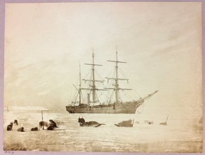 乔治-纳雷斯上尉（1831-1915）的北极探险（1875-1876）：H 作者 弗雷德里克（致）巴纳德