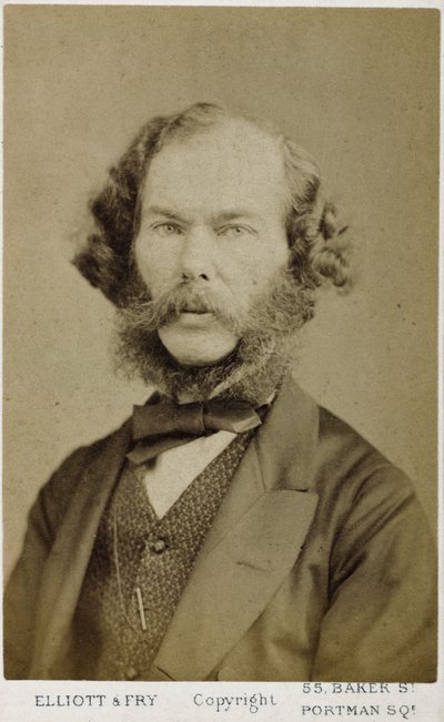 乔治-亨利-卢斯，英国作家和哲学家，约1865-1878年 作者 费迪南德·乔治·沃尔德米勒