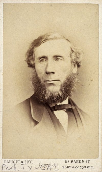 John Tyndall，爱尔兰物理学家，约1875年 作者 弗雷德里克（致）巴纳德