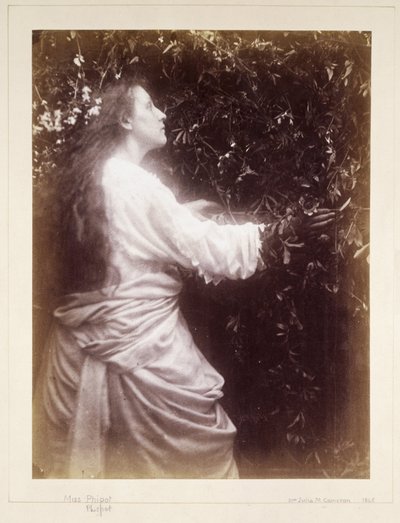 玛丽-希利尔，约1865年 作者 理查德（后）爸爸