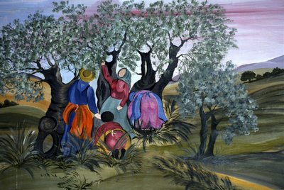 采摘橄榄，Barbara Mencarelli的住所，Mandoleto，Solomeo，翁布里亚，意大利 作者 加拿大学校