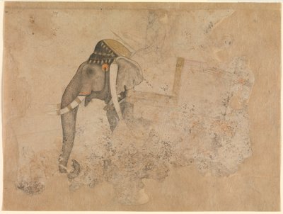 哈希姆约 1640 年 纽约大都会艺术博物馆 作者 哈希姆