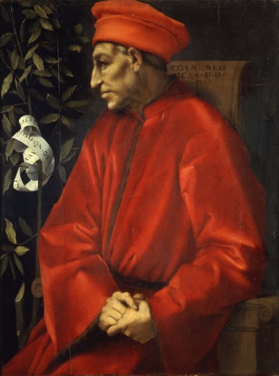 老年人科西莫的肖像 作者 Pontormo