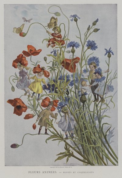 Fleurs Animees。 Bluets et Coquelicots。 （动画花：矢车菊和罂粟花） 作者 after Firmin Bouisset