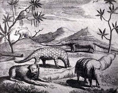 北河板块的生物，如早期艺术家的照片，来自Nierhoffs Voyages and Travels，来自The River of River Plate，Vol。我，由WH Koebel，1914年 作者 在德国学校之后