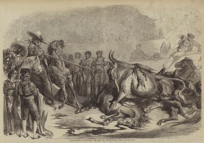 在巴约讷的斗牛，皮卡多雷的爆破 作者 Gustave after Dore