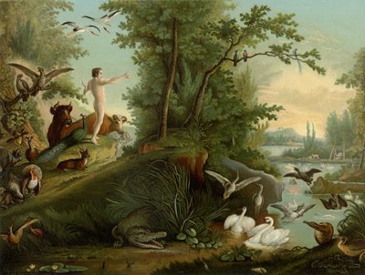 亚当在天堂 作者 Johann Elias Ridinger或Riedinger