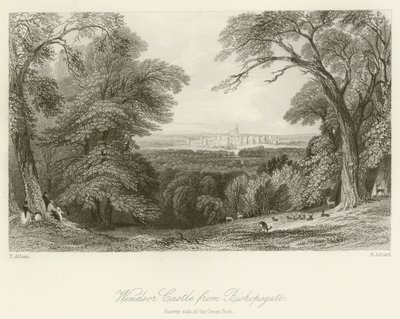 温莎城堡从Bishopsgate，萨里一侧的大公园 作者 在Thomas Allom之后