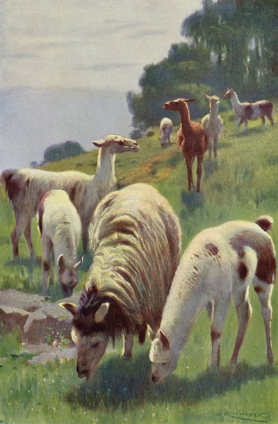 火焰 作者 威廉·库纳特之后