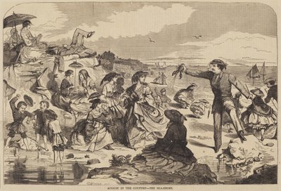 八月的乡村 - 海岸 作者 Winslow Homer