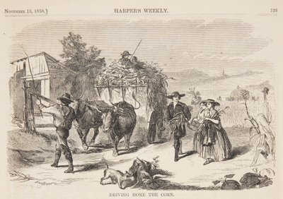 把玉米运回家 作者 Harper and Bros.，纽约，纽约，美国