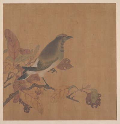 树枝上的鸟 作者 匿名的