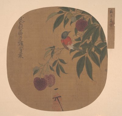 荔枝树枝上的鸟 作者 匿名的
