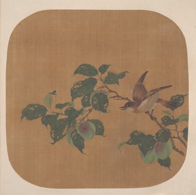 有鸟的花树枝 作者 匿名的