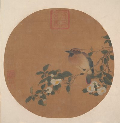 有花的树枝和腊翅科鸟类 作者 匿名的