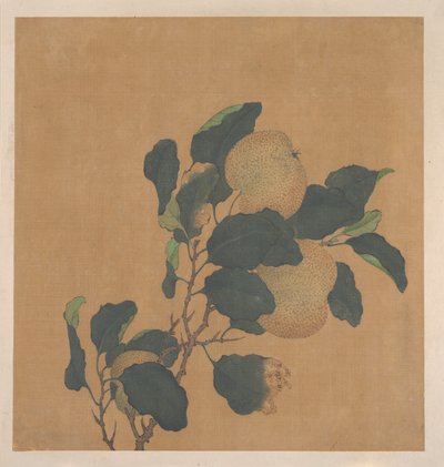 结满果实的树枝 作者 匿名的