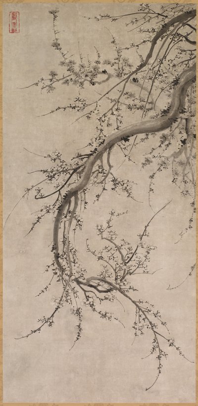 梅 作者 归功于加野英诺