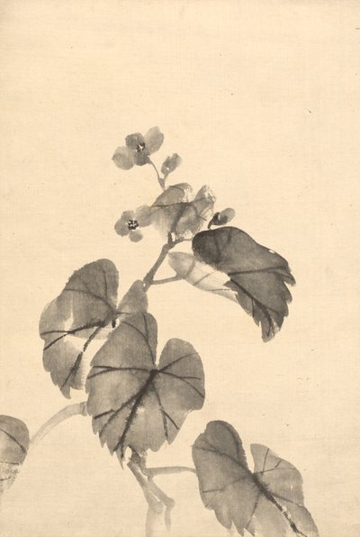 盛开的海棠花枝 作者 归功于 Kono Bairei