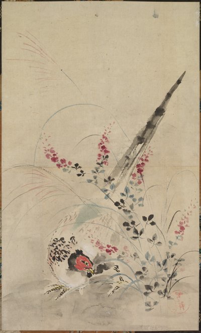 野鸡和草 作者 归于绪方光麟