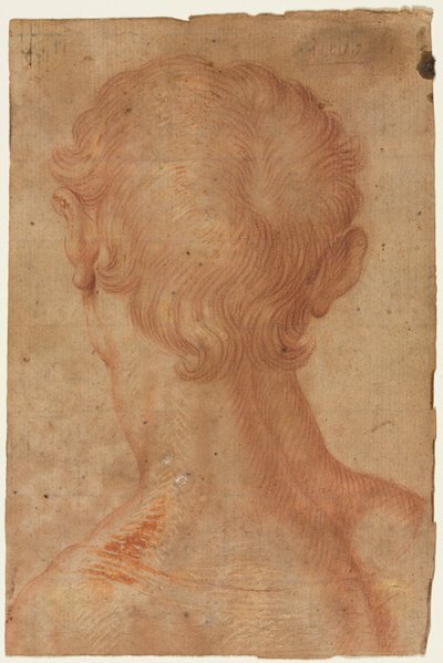 从背面看男子的头部 作者 在 Agnolo Bronzino 之后复制