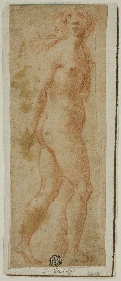Proserpina 作者 朱塞佩·切萨里的追随者