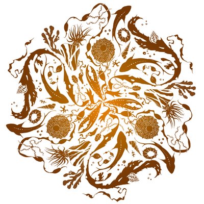 Mare marginis，2018 年（丝网版画） 作者 朱莉娅·麦肯齐（Julia McKenzie）