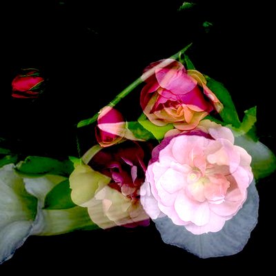 我妈妈的花，2017（混合媒介） 作者 琳达·亚瑟（Linda Arthur）