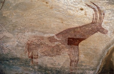 有蹄动物，洞穴壁画，Sephar，Tassili n