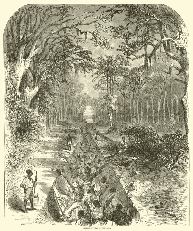 黑人在运河上工作，1863年3月（雕刻）。 作者 （之后）美国学校