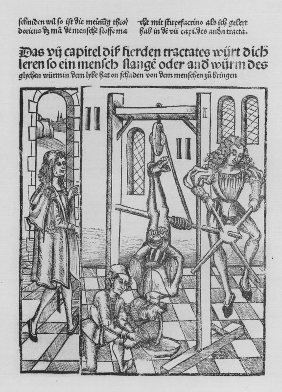 Hieronymus Brunschwig (石版画) 作者 （之后）德国学校