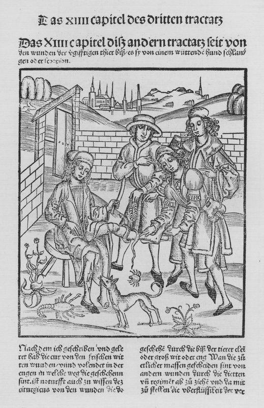 Hieronymus Brunschwig (石版画) 作者 （之后）德国学校