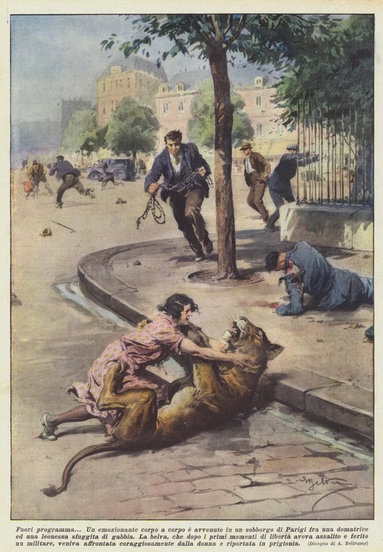 超出计划 作者 阿基里·贝尔特拉姆（Achille Beltrame）