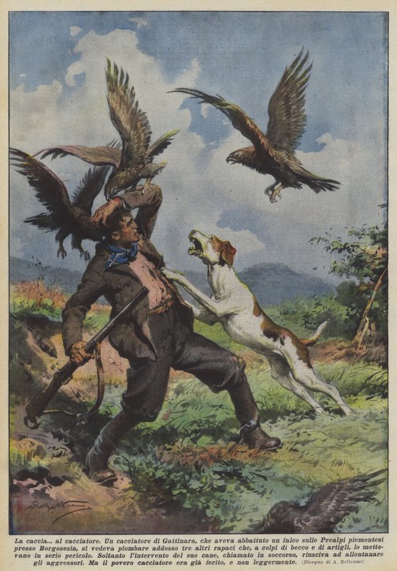 狩猎？给猎人 作者 阿基里·贝尔特拉姆（Achille Beltrame）