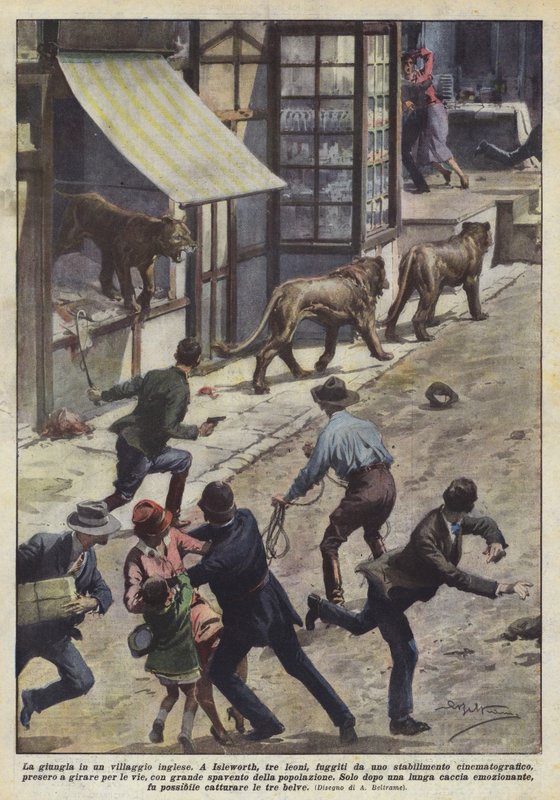 英国村庄的丛林 作者 阿基里·贝尔特拉姆（Achille Beltrame）