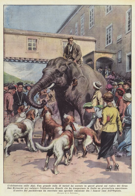 在阿尔卑斯山的Elephantess 作者 阿基里·贝尔特拉姆（Achille Beltrame）