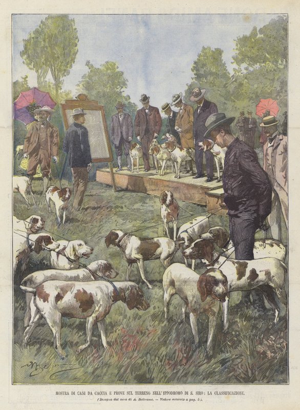 狩猎犬和测试的展览在S Siro跑道的地面上，分类 作者 阿基里·贝尔特拉姆（Achille Beltrame）