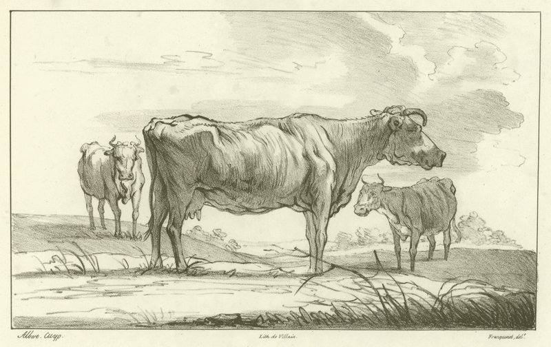 三头母牛 作者 艾伯特·奎普（Aelbert Cuyp）