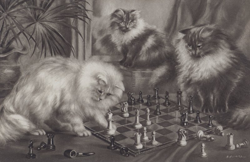 使用与棋子的小组猫 作者 Agnes Augusta Talboys