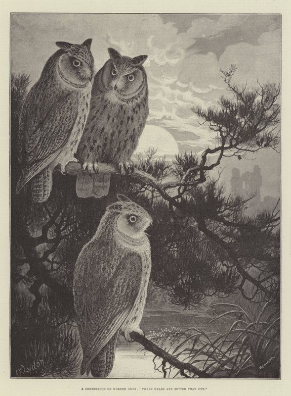 角Ow会议，三头比一个好 作者 亚历山大·弗朗西斯·莱登