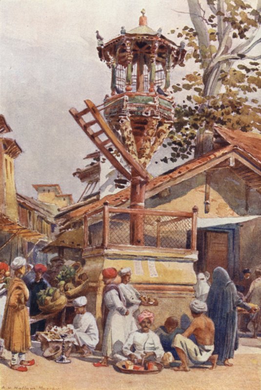 艾哈迈达巴德鸟类的饲养场所 作者 亚历山大·亨利·哈勒姆·默里