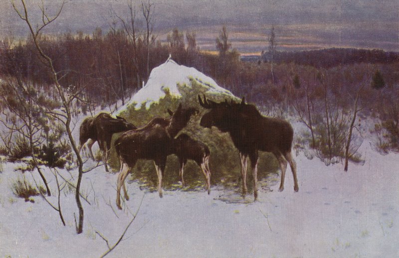 麋鹿群，1889年 作者 阿列克谢·史蒂帕诺维奇·斯蒂芬诺夫