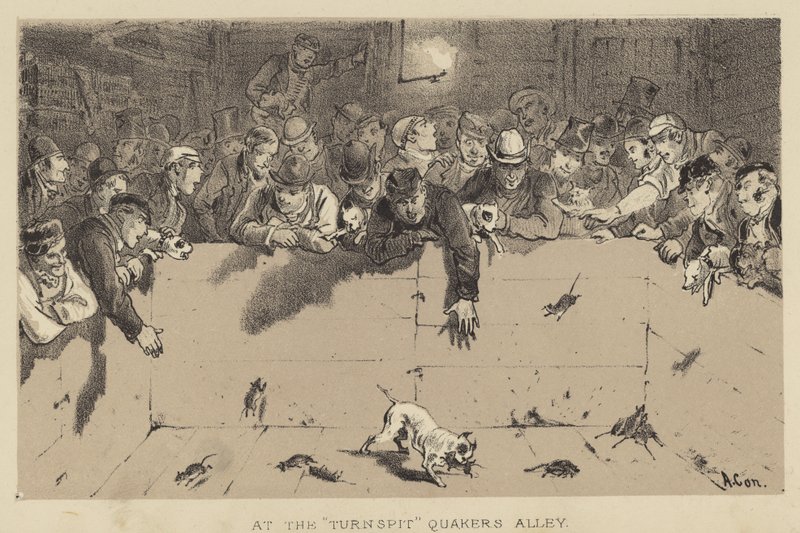 在Turnspit，Quakers Alley 作者 阿尔弗雷德·康卡宁