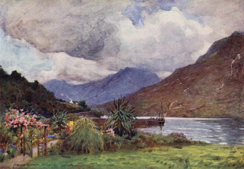 Conenane的一个庭院，Connemara 作者 阿尔弗雷德·希顿·库珀