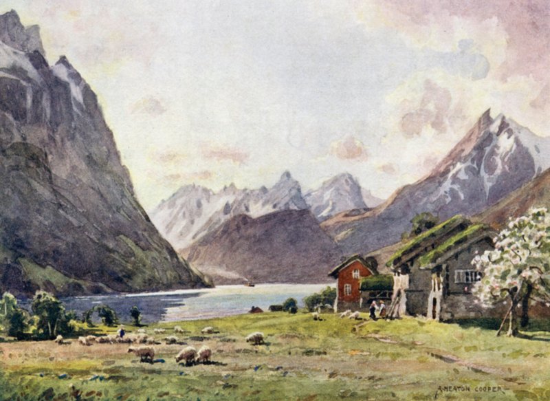 Hjorund Fjord，Goose 作者 阿尔弗雷德·希顿·库珀