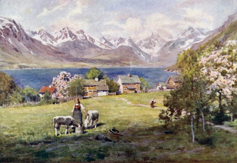 来自Naes的Romsdal Fjord 作者 阿尔弗雷德·希顿·库珀