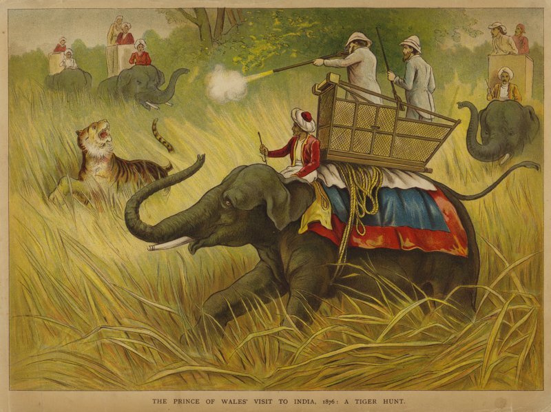 Edward, Prince of Wales, shooting tigers on a visit to India   1422817   zh       chinese Successfully Translated  Original: Opening of the cave at Porth yr Ogof (watercolor on paper) Translat: Opening of the cave at Porth yr Ogof (watercolor on paper) 147 作者 阿尔弗雷德约翰逊
