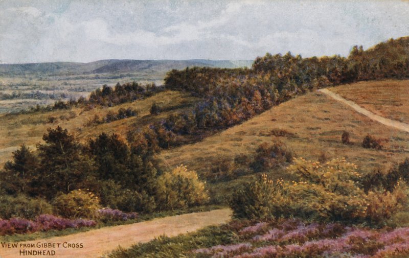 Gibbet Cross，Hindhead 作者 阿尔弗雷德·罗伯特·昆顿