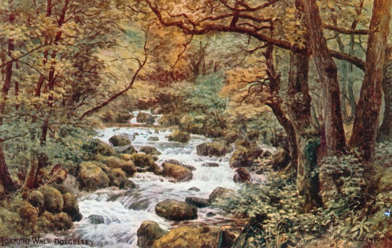 Torrent Walk，Dolgelley 作者 阿尔弗雷德·罗伯特·昆顿